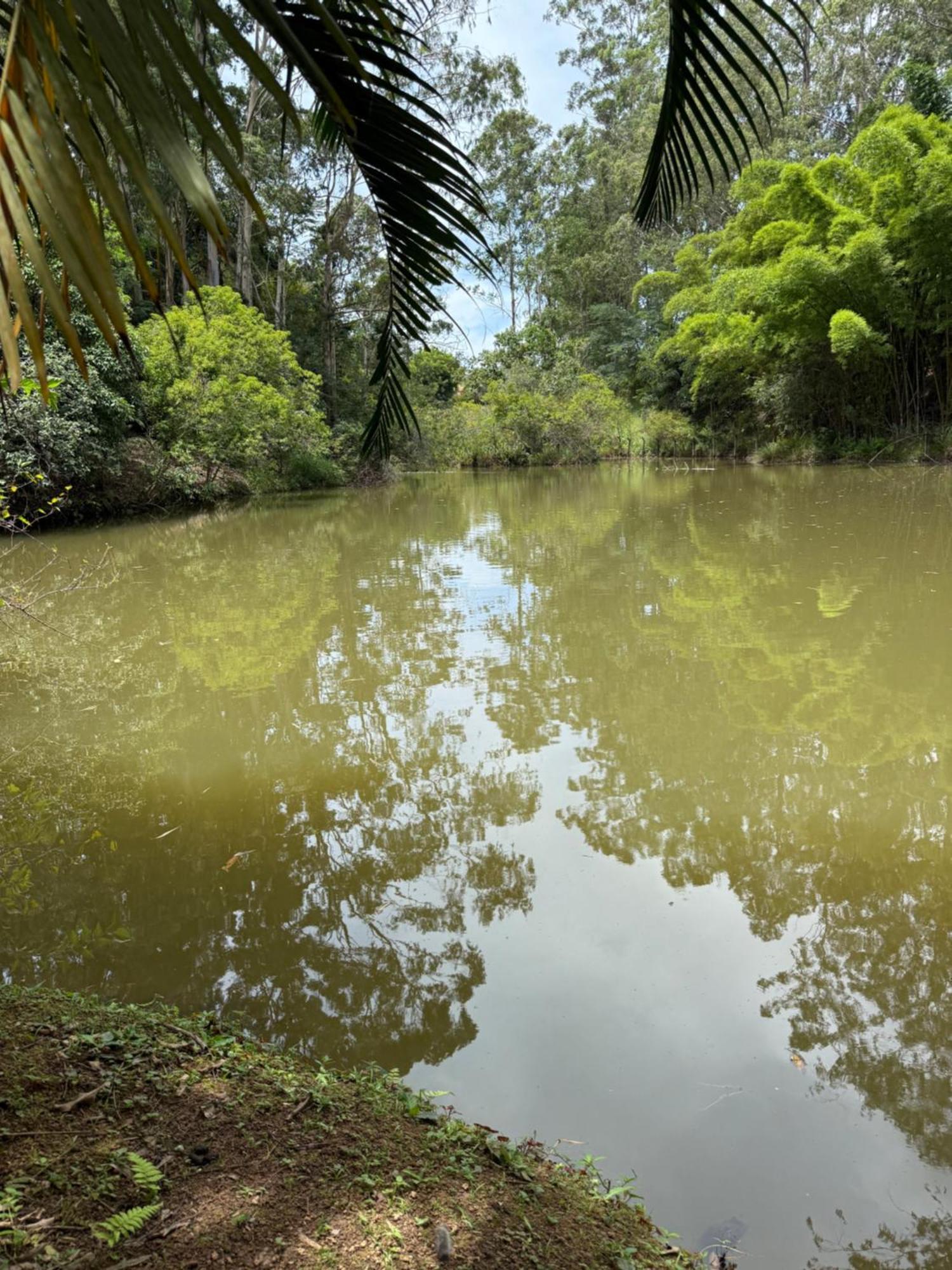 סאו לואיס דו פראיטינגה Casarao Verde מראה חיצוני תמונה